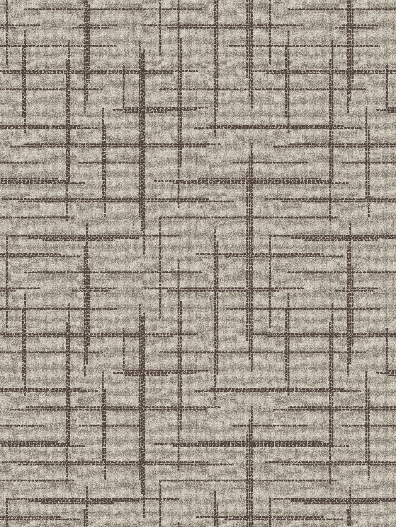 (QS) Erratic Path